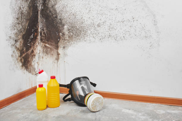 Best Mold Testing  in Derry, PA