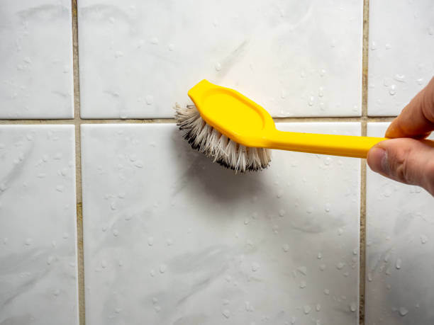 Best Attic Mold Removal  in Derry, PA
