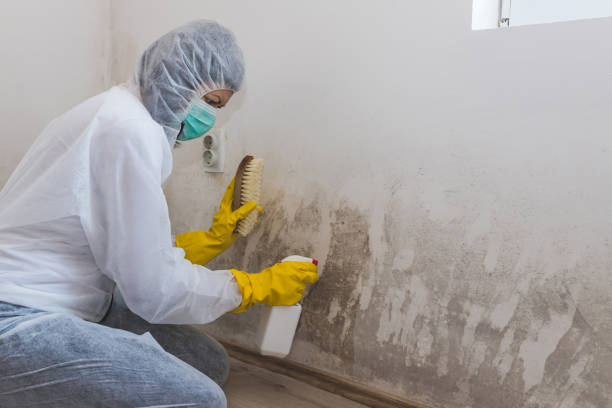Best Crawl Space Mold Removal  in Derry, PA