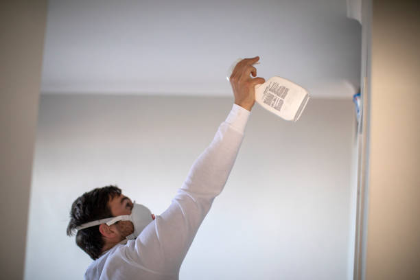 Best Local Mold Removal Service  in Derry, PA